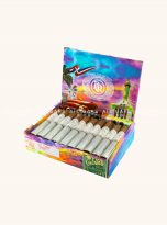 1878_Capa_Natural_2_wm